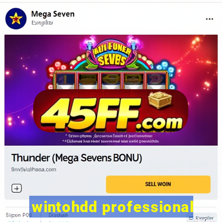 wintohdd professional